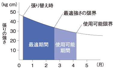 張り替えの目安