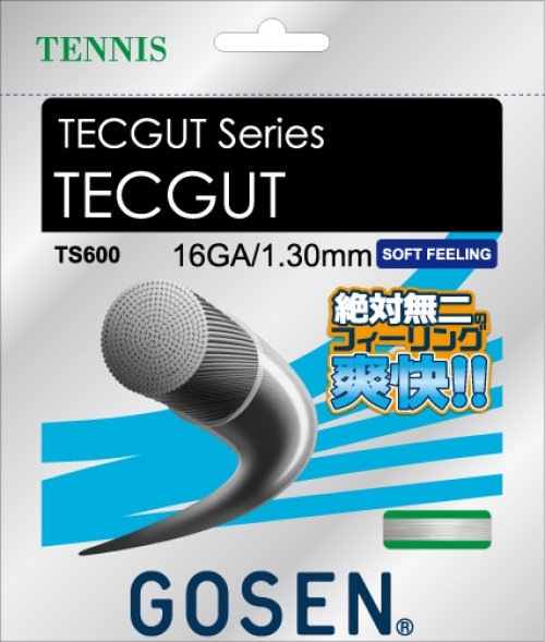 TECGUT 16