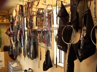 ¥¤¥Î¥Ï¥é¥¹¥Ý¡¼¥Ä