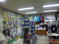 ���ݡ��ĥ���åס�wing