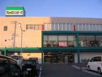 ����å������ݡ��Ĳ�����Ź