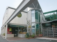 ¥Æ¥Ë¥¹¥È¥Ô¥¢