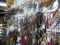 ¥¹¥Ý¡¼¥Ä¥·¥ç¥Ã¥×¡¡¥¢¥¹¥ê¡¼¥È