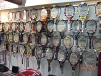 �ƥ˥����ơ������ϸ�Į