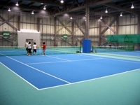 Neo����ɥ��ƥ˥���������������