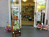 ¥Ï¥ê¥¾¥¦£³£±£°