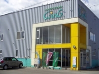 ����ɥ��ƥ˥����󥿡������󥰡��ӹ���