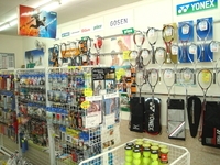 ���󥹥ȥ�󥬡�