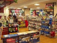 ¥ô¥£¥¯¥È¥ê¥¢¡¡¸÷¤¬µÖŹ