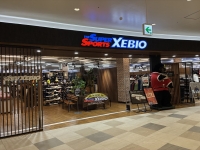 �����ѡ����ݡ��ĥ��ӥ������ݡ���TOKYO-BAYŹ