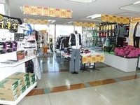 ���ѡ����ƥ˥������ǥ�