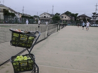 ÅÄ´îÌî°æ¥°¥ê¡¼¥ó¥Æ¥Ë¥¹¥¯¥é¥Ö