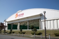 ����ɡ���ƥ˥����ơ���������