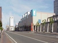 KG����ȥ��ե��åȥͥ�����ֻ�ɡ