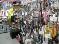 ��ͭ�˥��Υϥ饹�ݡ���