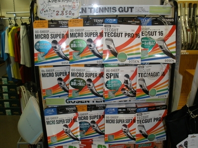 インドアテニスタカミ