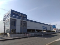 ����ڥ� ƣ���Գ���Ź