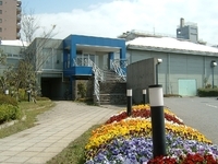 Ken's ����ɥ��ƥ˥�������������