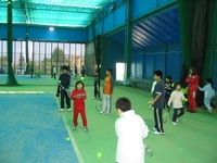 ���꡼��ҥ륺����ɥ��ƥ˥���������