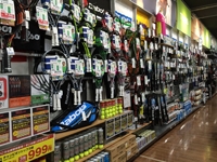 ¥Ò¥Þ¥é¥ä¡¡ÈÓÄÍŹ