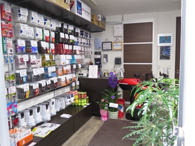 ストリングクリニック T−ベア