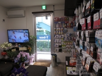 ¥¹¥È¥ê¥ó¥°¥¯¥ê¥Ë¥Ã¥¯¡¡£Ô¡Ý¥Ù¥¢