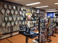 �Хɡ��ƥ˥����ơ������Akita