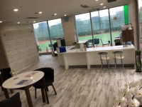 �ƥ˥��饦�󥸱ɥ�������