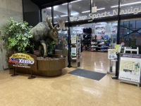 スーパースポーツゼビオ 熊本本山店