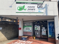HARI JAWS