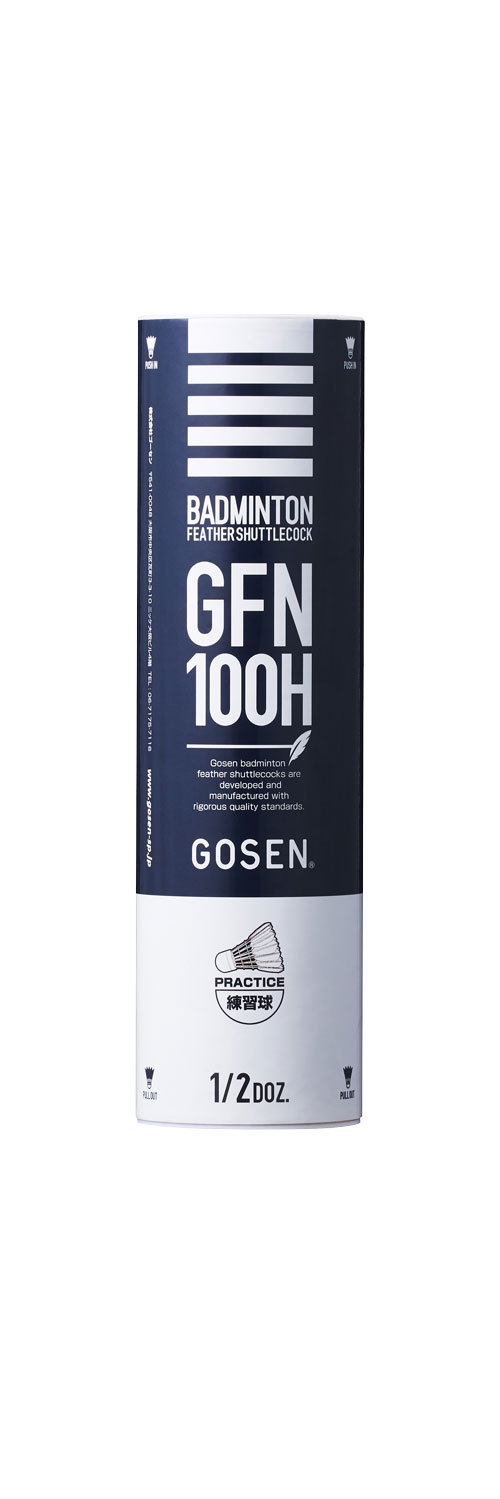 GFN100H