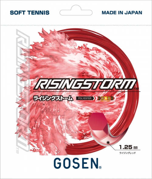 RISINGSTORM / �饤���󥰥��ȡ���