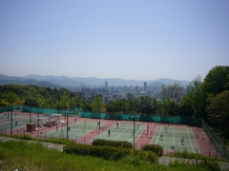 ���ܥʥ���ʥ�������˻ҹ�ɥ�ݡ��ȭ�