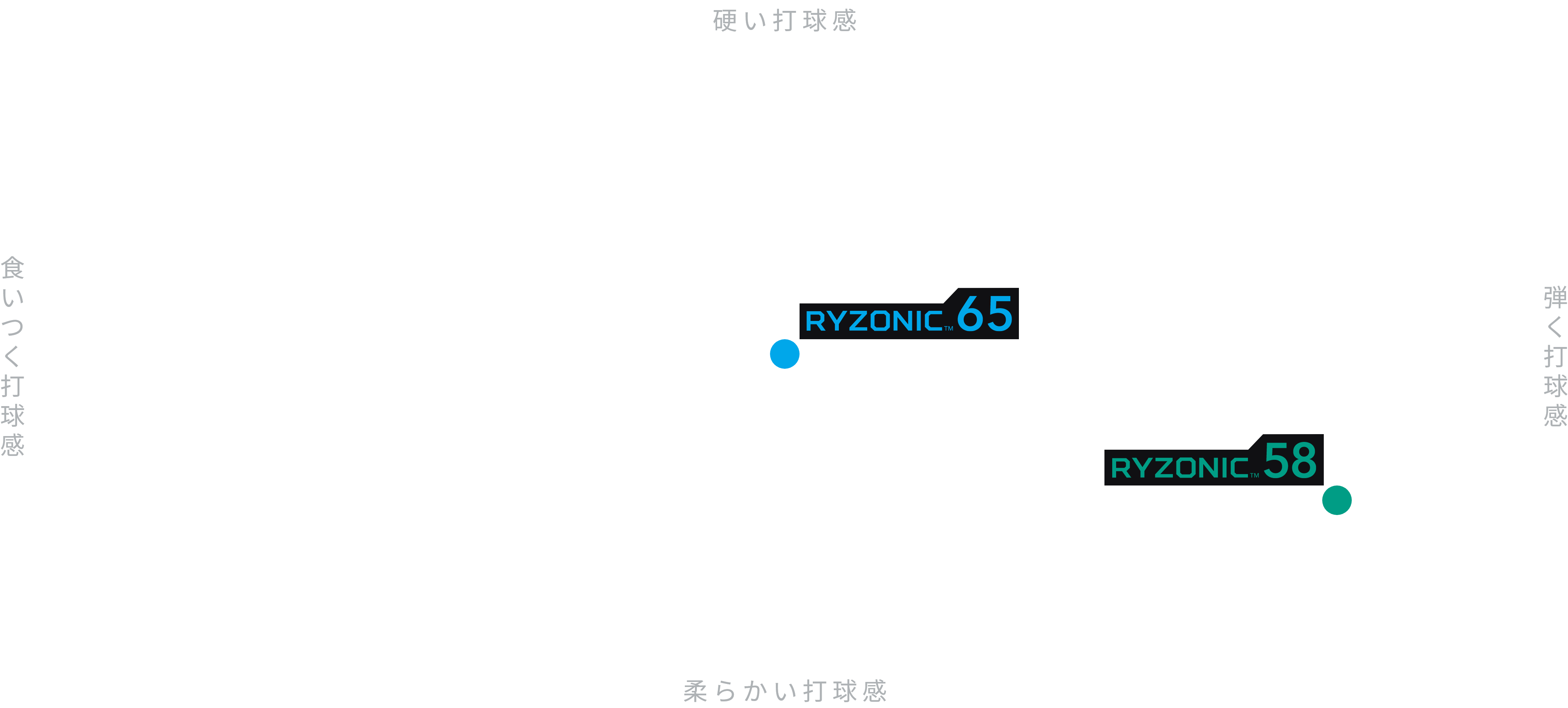  RYZONICスペック座標