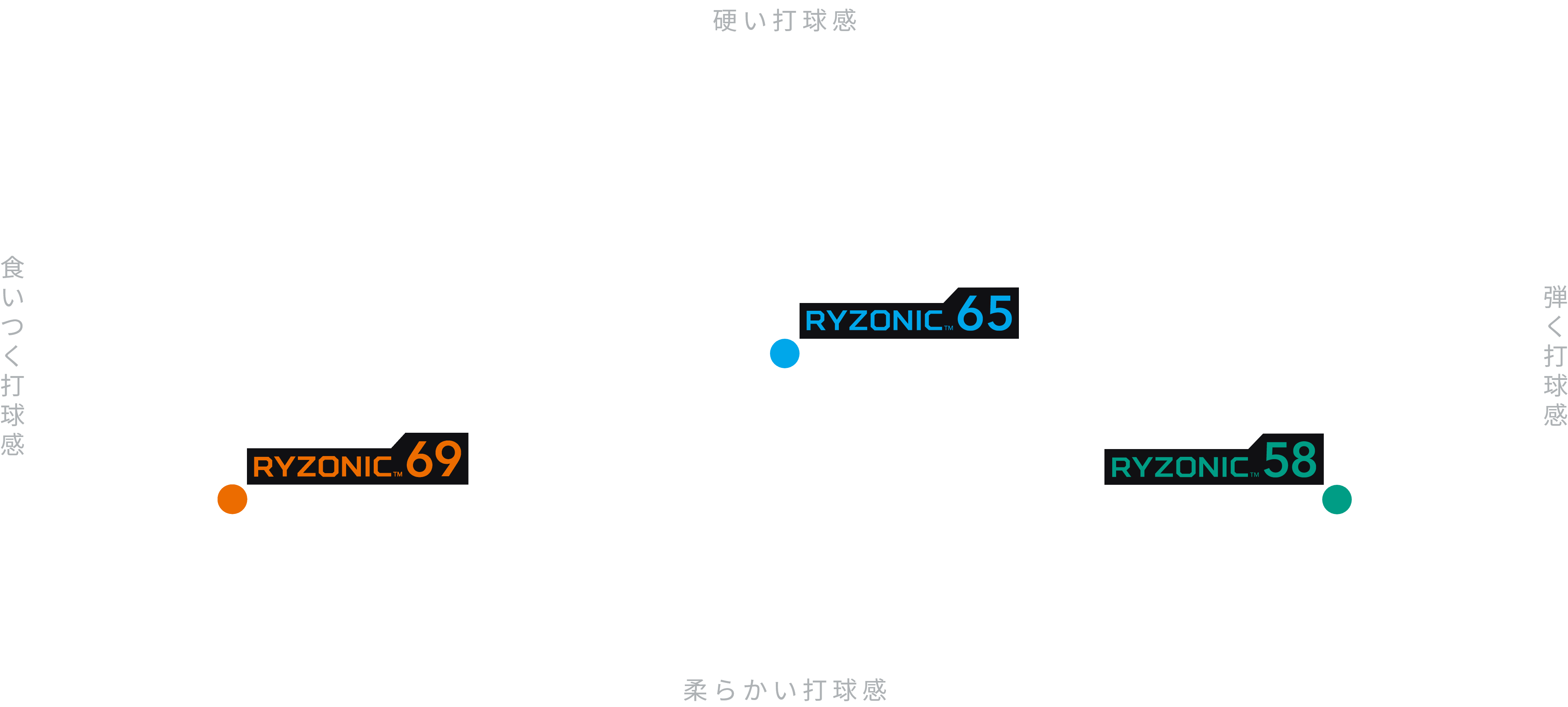  RYZONICスペック座標