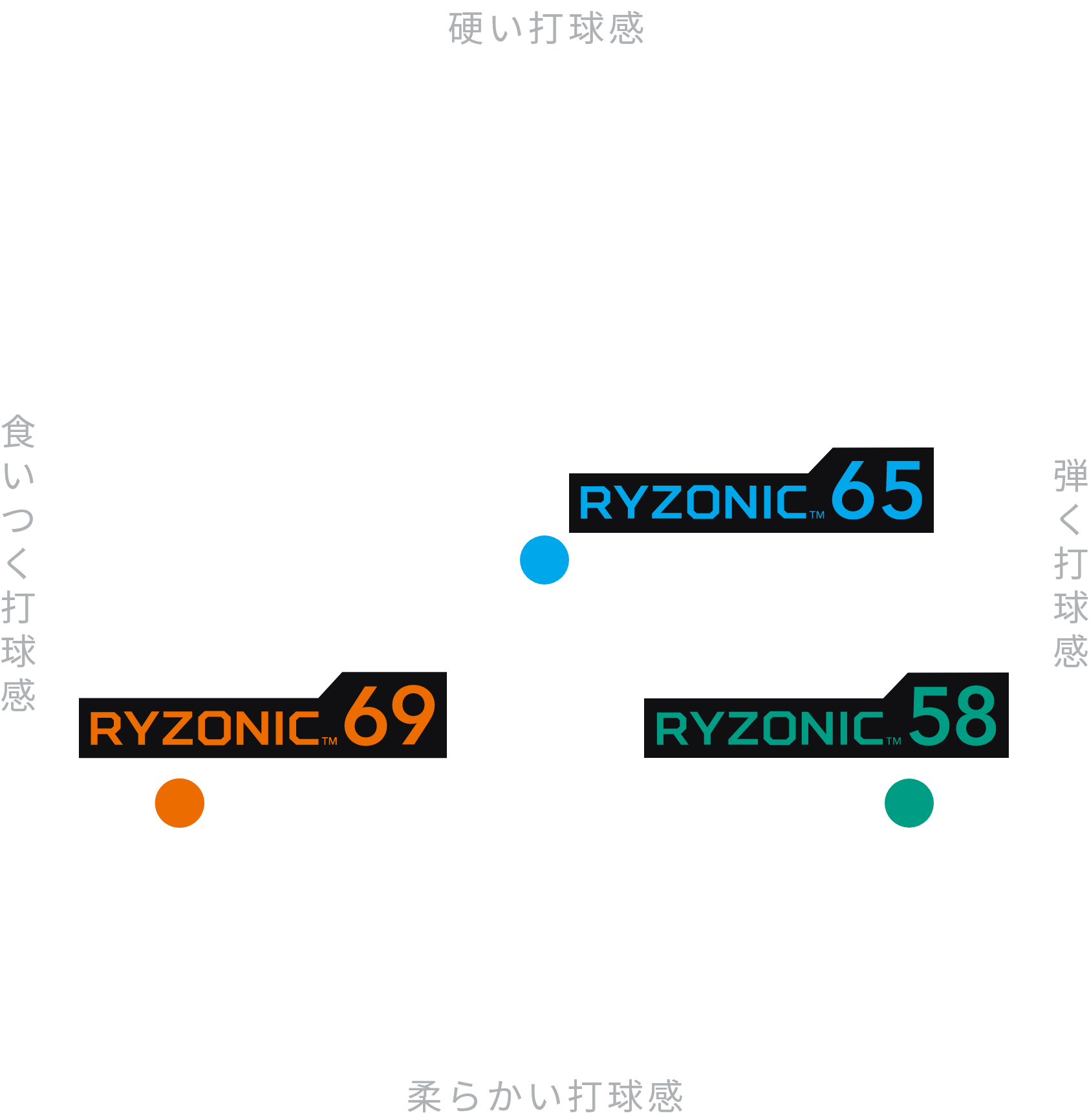  RYZONICスペック座標
