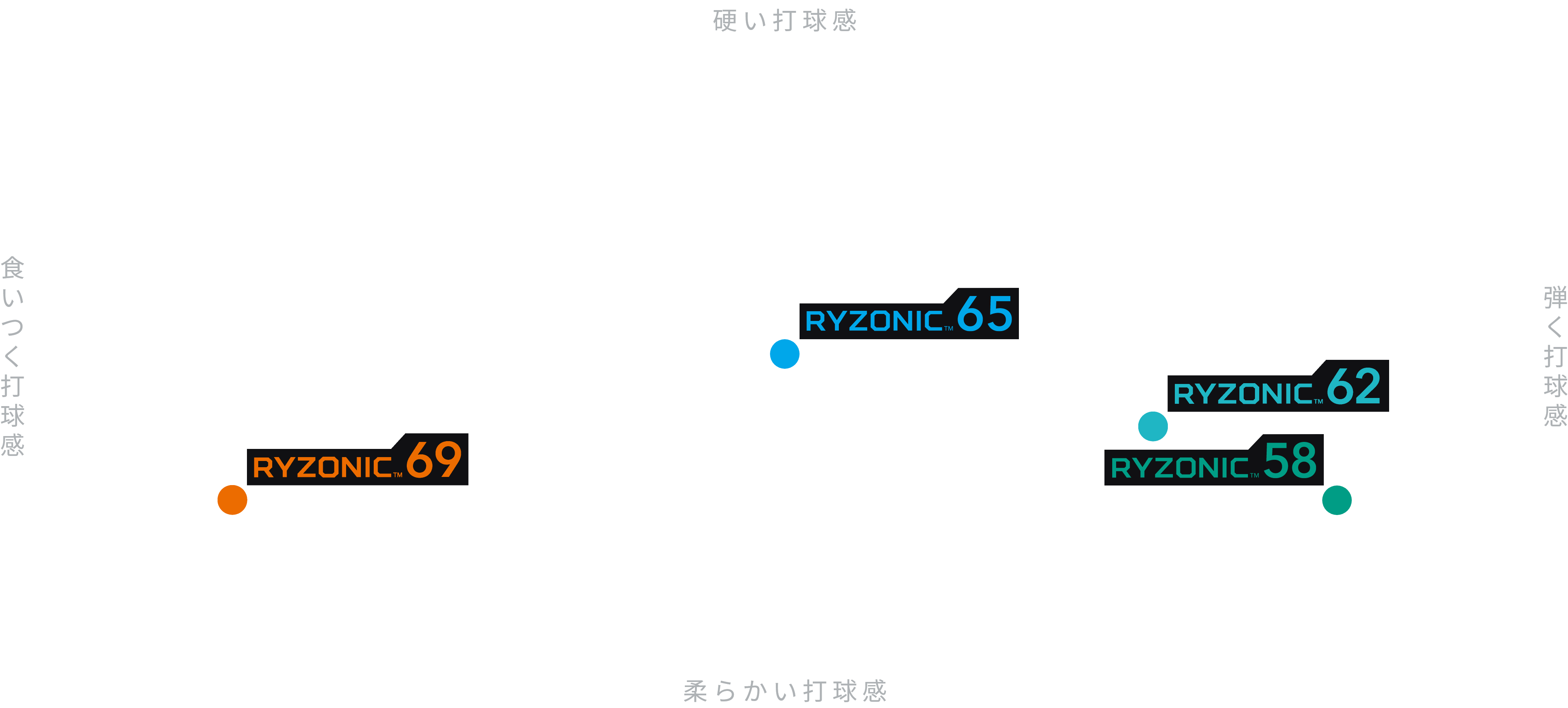 RYZONICスペック座標