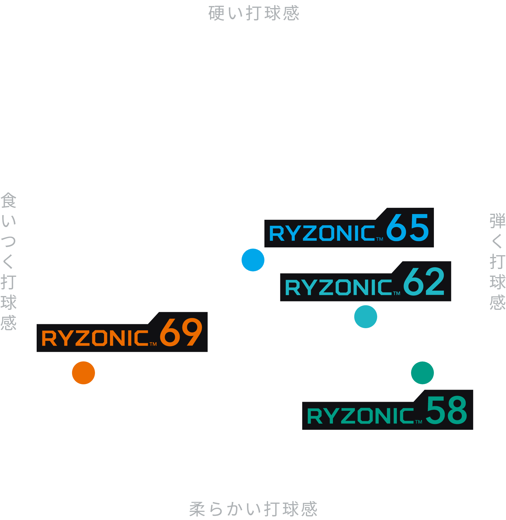 RYZONIC（ライゾニック） | GOSEN